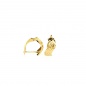 Preview: Gold Ohrringe - 333 GG