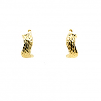 Gold Ohrringe - 333 GG