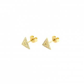 Zirkonia Gold Ohrringe - 333 GG